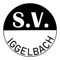 Logo_SVI-removebg-preview